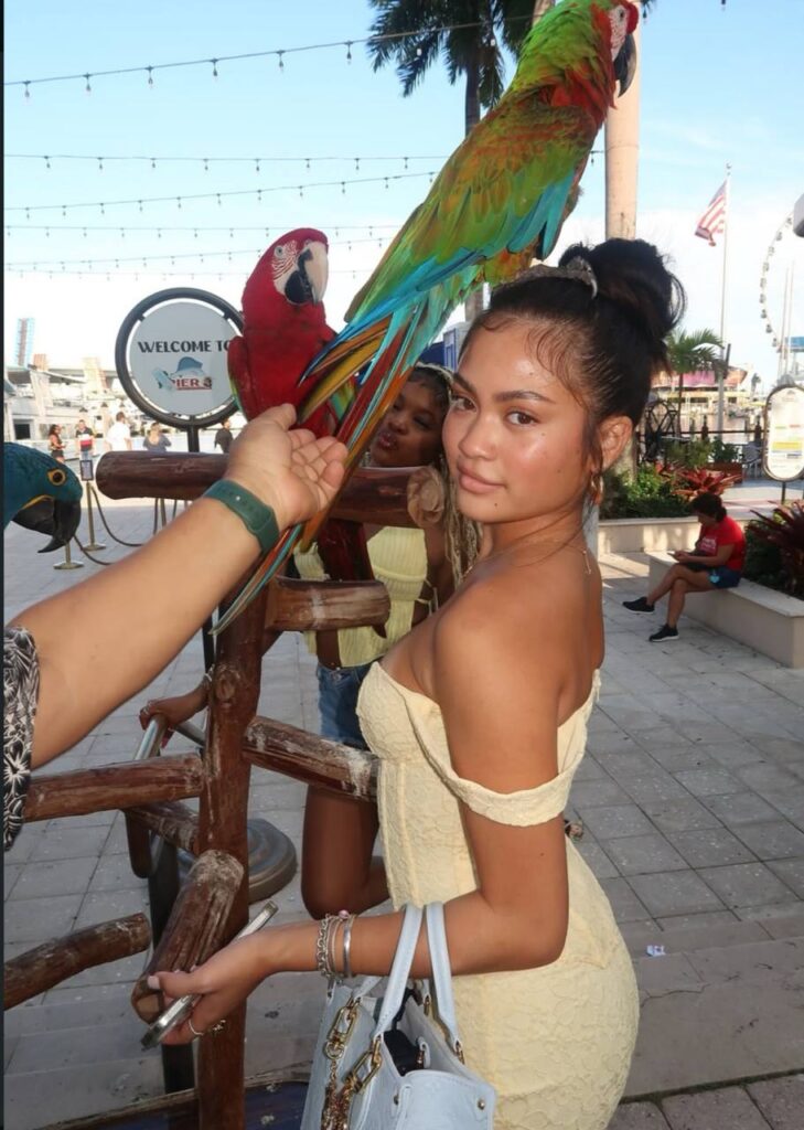 find colombian brides